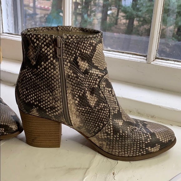 Faux Snake Skin Booties - Picture 3 of 3